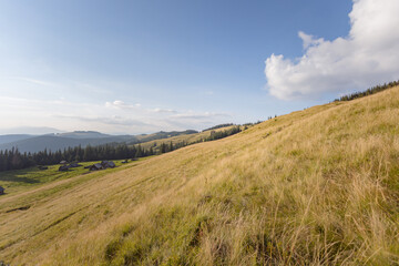 Naklejka premium wide panorama of mountain peaks with forests. hiking in the mountains. outdoor recreation
