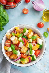 Panzanella salad, Italian bread and fresh vegetable salad. Copy space.