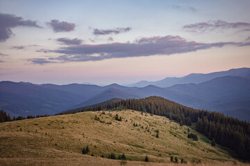 mountain meadow and evening sky in the mountains. sunset on top of the mountain