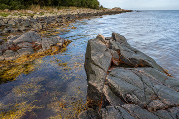 Fototapeta na wymiar A picture of a rock against the blue water. Picture from Skalderviken, southern Sweden
