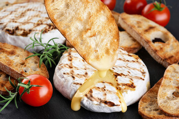 Grilled camembert, brie cheese with croutons, and cherry tomatoes on a dark background.