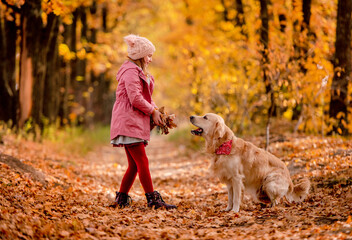 Preteen kid and golden retriever dog