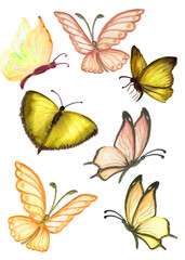 Watercolor set of colored butterflies. Perfect for stickers,stickers,postcards,baby shower,crafts and hobbies.