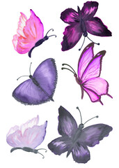 Obraz premium Watercolor set of colored butterflies. Perfect for stickers,stickers,postcards,baby shower,crafts and hobbies.