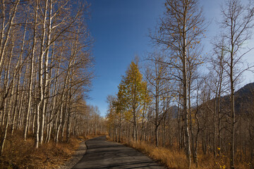 Alpine Loop Scenic Byway, Utah, USA
