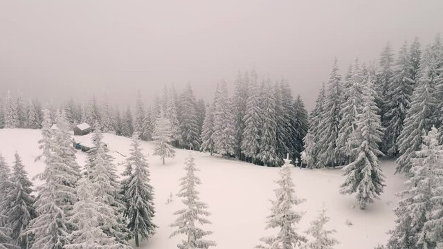 Splendid winter scene from a bird's eye view. Filmed in 4k, drone video.