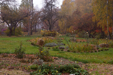 Fototapeta premium drzewa ogród park jesień kolory liście pory roku