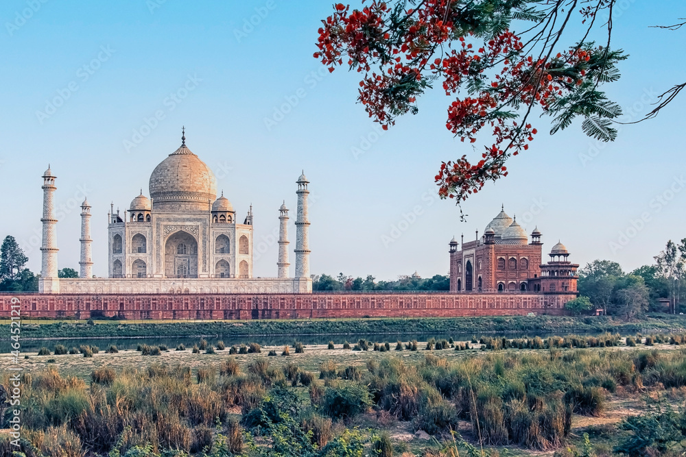 Wall mural taj mahal mausoleum in agra, uttar pradesh, india