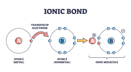 Ionic bond and electrostatic attraction from chemical bonding outline diagram. Labeled educational scheme with metal atom electrons transfer steps to nonmetal and ionic molecule vector illustration.