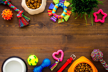 Pet accessories with dog and cat food and toys, top view