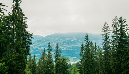 Paysage au milieu des montagnes avec des sapins au premier plan
