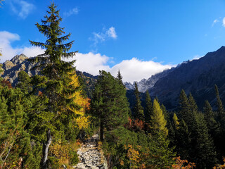 Colourful autumn scenery of Mengusovska dolina valley - High Tatras, Slovakia © Alexandra