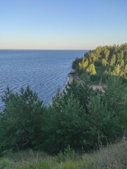 Nature near the Volga river. The coast with trees and other vegetation. The Volga River in Russia.