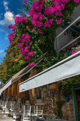 Fototapeta na wymiar Narrow cobbled streets of Alacati under flowers are waiting for tourists.