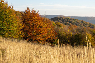 Autumn in the Bieszczady Mountains.