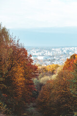 autumn is coming yellow trees park city on background