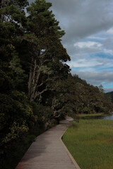 path in the mountains