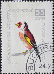 Romania - Circa 1959: a postage stamp printed in the Romania showing a songbird: European Goldfinch (Carduelis carduelis)