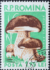 Romania - Circa 1958: a postage stamp printed in the Romania showing a European mushroom: Cep...