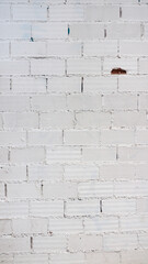 Pared de ladrillos pintada de blanco