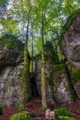 Rocks and trees with moss and leaves in autumn colors in the stone city near Krottensee in Franconian Switzerland