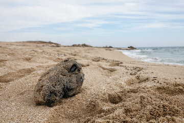 A block of black tar on the beach. Residue from hydrocarbon processing. There is a huge ecological problem in the Mediterranean sea.