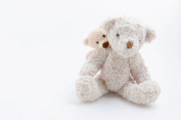 Brown little teddy bear hug big teddy is behind isolated on white background with copy space. love family, valentines day.