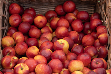 Fototapeta na wymiar Fresh peaches from the market.