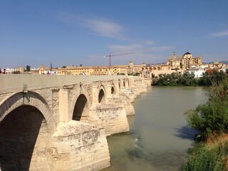 Obraz premium bridge over the river