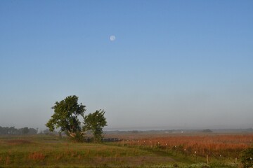 Full Moon in a Blue Sky Over a Foggy Farm Field