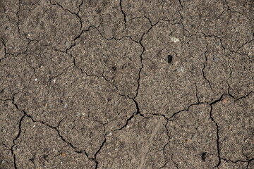 Dry, cracked dirt texture for creative background
