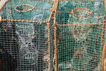 nets for fishing mediterranean lobster