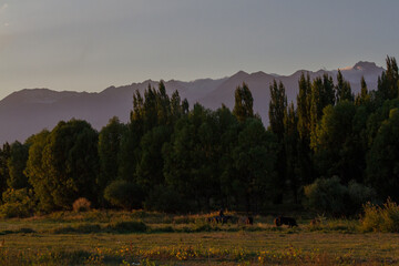 sunrise in the mountains