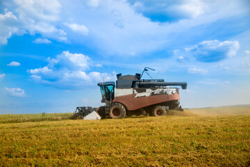 old tracktor plows the field. harvester harvests wheat from a sown agricultural field