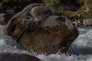 elephant in the river