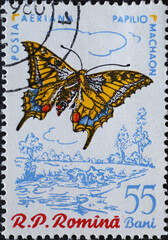 Fototapeta na wymiar Romania - Circa 1960: a postage stamp printed in the Romania showing a Swallowtail (Papilio machaon)