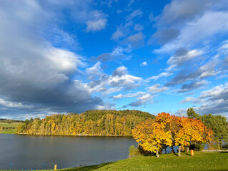 Fototapeta na wymiar Poehl dam in an autumn landscape