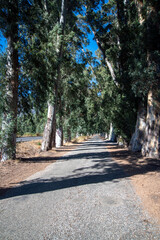 road