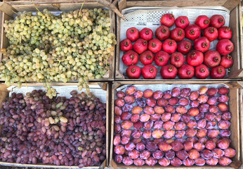 autumn fruits on the farmers market