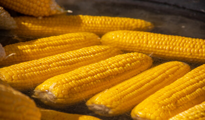 Process of cooking natural yellow corn cobs in saucepan at summer outdoor food market - close up view. Professional cooking, catering, cookery, gastronomy and street food concept
