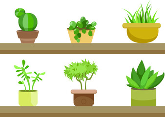 Fototapeta premium A cute girl waters flowers from a watering can. Various house plants. Vector illustration in a flat style.