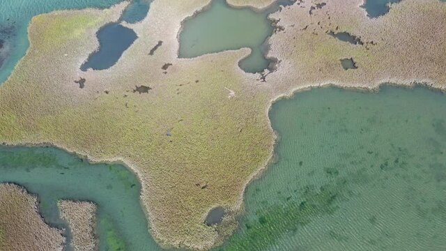 Channels meander through a healthy salt marsh in Pleasant Bay, Cape Cod, Massachusetts. This type of wetland habitat is vital feeding grounds for migrating birds, fish, and many marine invertebrates.