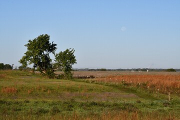 Farm Field
