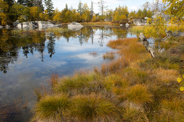 Swamp or lake with megalithic seid boulder stones, dead trees in the nature reserve on mountain Vottovaara, Karelia, Russia.