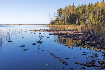 An island overgrown with trees on Lake Onega in Karelia in autumn. Reflections in water