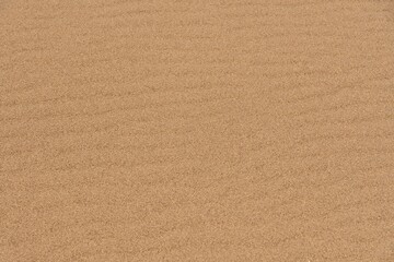 Sand background and texture with onduline