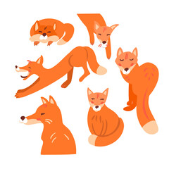 Set cute foxes. Forest animal. Logo for design. Vector illustration isolated on white background.