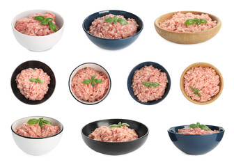 Set with fresh raw chicken minced meat on white background