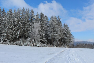 Fototapeta na wymiar Winterwelt Schwarzwald