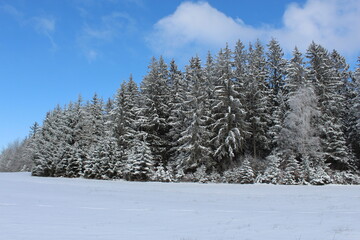Fototapeta na wymiar Winterwelt Schwarzwald